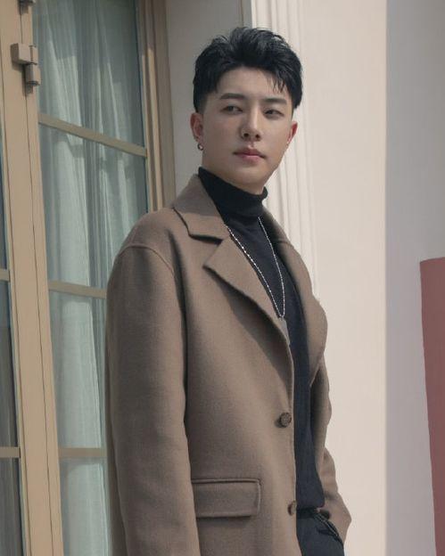 中国男歌手爆料视频播放,独家幕后故事大公开 第3张 中国男歌手爆料视频播放,独家幕后故事大公开 第3张